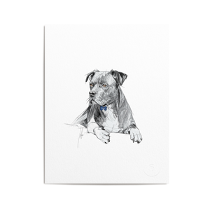 BESPOKE PET PORTRAITS